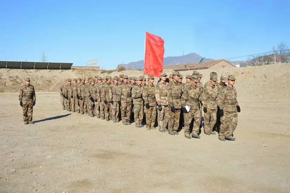 ѵ������